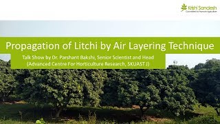 Litchi Propagation  How to Guide on Lychee propagation by Air Layering Technique [upl. by Gnoix843]