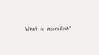 What is microRNA miRNA [upl. by Pros]