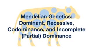 Mendelian Genetics Dominant Recessive Codominance and Incomplete Dominance Explained [upl. by Yderf]