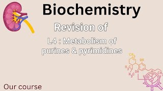 revision of L4bio  Metabolism of purines amp pyrimidines renal 42 [upl. by Annawaj]