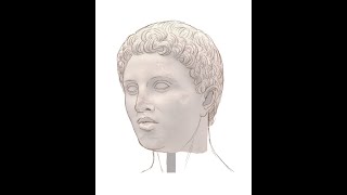 The Face of Hephaestion Artistic Reconstruction [upl. by Schach79]