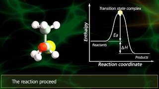 SN2 Reactions  University Of Surrey [upl. by Isnyl]