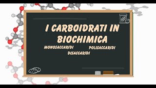 Le biomolecole i carboidrati [upl. by Naeroled]