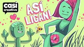 Así se Enamoran Las Plantas  Casi Creativo [upl. by Lais]