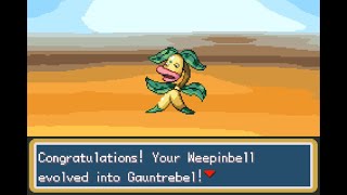 Pokémon Adventure Red Chapter  How To Evolve Weepinbell To Gauntrebell [upl. by Swanhildas314]