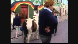 WESTPORT HORSE FAIR Westport County Mayo Ireland 80s  90s [upl. by Rednasela514]