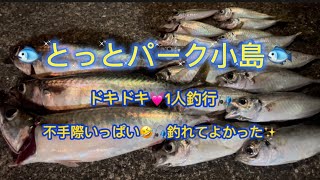 🐟とっとパーク小島🐟ドキドキ💓1人釣行🎣不手際いっぱい🤣🎣釣れてよかった✨ [upl. by Siward]