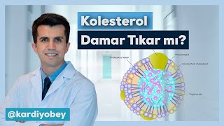 LDL Kolesterol Nedir LDL Kolesterol Damarları Tıkar mı [upl. by Kama]