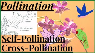 Pollination in Flowering Plants Agents of Pollination Self Pollination and Cross Pollination NEET [upl. by Lorrimor975]