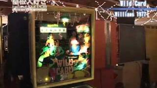 パシフィックピンボールエキスポ2009 Pacific Pinball Expo4 [upl. by Lerrad]