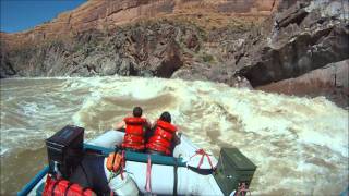 Paddlers go swimming  Skull Rapid Westwater Canyon 31800cfs 62511 [upl. by Daile141]