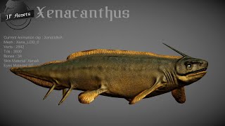 Xenacanthus [upl. by Artimed]