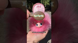 New Pygmy Puff Shoulder Plush at Universal Studios harrypotter wizardingworld universalstudios [upl. by Sorce]