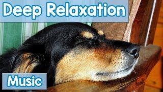 15 Hours of Deep Relaxation Music for Dogs Music to Relax Your Dog Completely and Help with Sleep [upl. by Wilscam357]