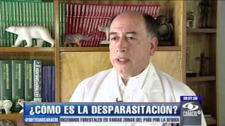 ¿Cómo se realizara una correcta desparasitación  9 de enero de 2013 [upl. by Merralee170]