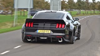 BEST OF FORD MUSTANG SOUNDS Shelby GT500 Alphamale Widebody GT350 RTR Widebody Royal Crimson GT [upl. by Ashien]