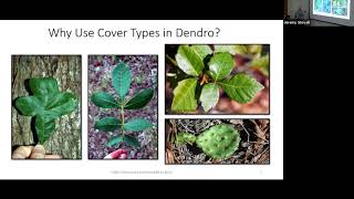 Forest Covertypes  SFA Dendrology Lecture FORS 2319 [upl. by Odnanreh800]