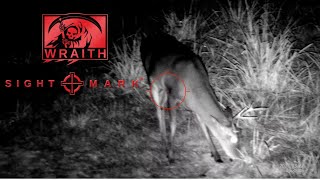 Sightmark Wraith 4K Max Video Sample Sightmark [upl. by Abbott]