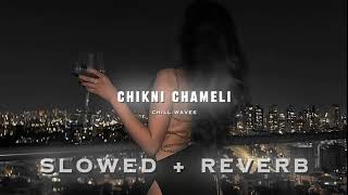 Chikni  Chameli Slow Reverb song [upl. by Aerua]