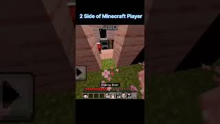 2 Side of Minecraft Player [upl. by Yesnyl]