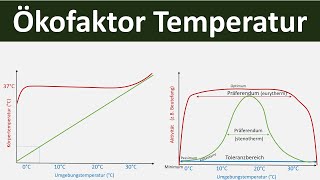 Ökofaktor Temperatur Abiotischer Umweltfaktor Temperatur Biologie Ökologie Teil 3 [upl. by Maddi]