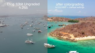 compare h265 dlog 10bit to Rec709 with Lut DJI  Mavic 2 pro 4K [upl. by Ivetts]