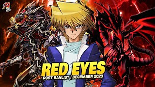 Deck RedEyes Post Banlist EDOPRO  Replays 🎮  Decklist ✔️ [upl. by Janelle478]