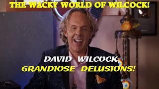 David Wilcock  Grandiose Delusions [upl. by Norita374]