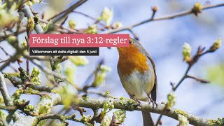 Förslag till nya 312regler [upl. by Aneis826]