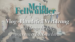 Mein Fellwunder Vlog  Hundefell Verfilzung  was brauche Ich was muss Ich beachten [upl. by Gnex765]