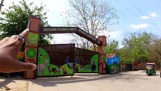 Asola bhatti wildlife sanctuary park delhi  butterfly park  arawali park delhi [upl. by Anerda]