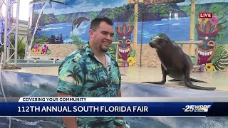 Swing by the South Florida Fair and meet some sea lions [upl. by Shewmaker]