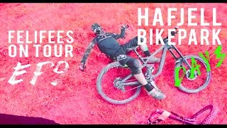 Go Pro HD Hafjell Bikepark 2016  Felifees on Tour Ep9  Downhill  Fly high Burr [upl. by Uos]