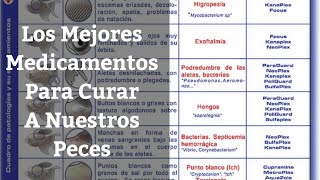 🔵 Los Mejores Medicamentos Para Curar Las Enfermedades Más Comunes De Nuestros Peces [upl. by Erek973]