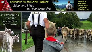 FilmTrailer  die grösste Viehschau im Toggenburg NESSLAU 2019 [upl. by Htrow]