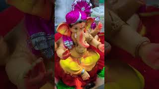 ganeshastatus sorts ganpatibappa [upl. by Harli685]