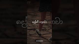 පිනි බිඳු ❤️❤️shorts sinhalasongs srilanka [upl. by Tabby]