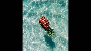 Reggae Instrumental CARIBBEAN x TROPICAL Type Beat  PINEAPPLE [upl. by Airamahs]