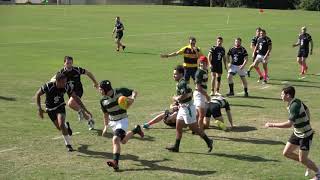 USF vs Orlando Mens Club  Rugby 15s Friendly 1122019 [upl. by Yortal]