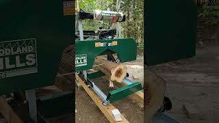 HM126 cutting Cedar [upl. by Wilcox222]