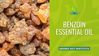 Benzoin Essential Oil  Vanilla Aroma [upl. by Leunamnauj]