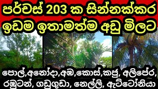 පර්චස් 203 ක සින්නක්කර ඉඩම පට්ටම අඩුවට  Land for sale  Agriculture land  Aduwata idam  Land sale [upl. by Htiekal]