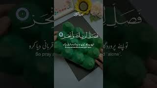 Quran Tilawat every day shorts 2024 qurantilawat shortsviral [upl. by Ahsiekrats]