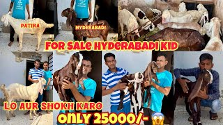 For Sale hyderabadi Kid Only 25000 Aur patira Bhi  At Annu Bhai  patirahouse ahmedabad [upl. by Meingolda17]