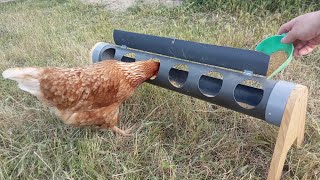 Como Hacer un comedero para nuestras Gallinas  Comedero Casero con tubo de PVC [upl. by Tilla354]