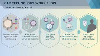 Chimeric antigen receptor CAR Technique  Creative Biolabs Updated Version [upl. by Martelli333]