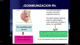 Enfermedad hemolitica RHABO Exanguinotransfusión y fototerapia Teo 13 [upl. by Clorinde118]