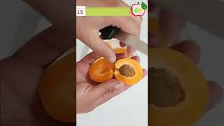 HOW TO GROW APRICOT TREE FROM SEEDS [upl. by Alyag]