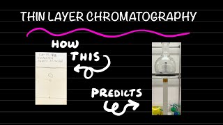 How to perform thin layer chromatography tutorial [upl. by Esilahs627]