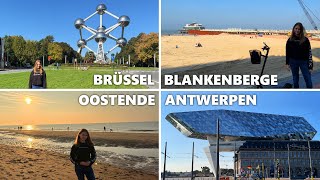 Urlaub in Brüssel Antwerpen Brügge Blankenberge Oostende Atomium Hafenhaus Belgien Reise Vlog [upl. by Acinonrev41]